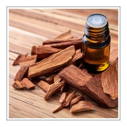 Sandalwood - olejek zapachowy