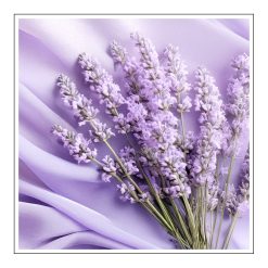 Sheer Lavender - olejek zapachowy