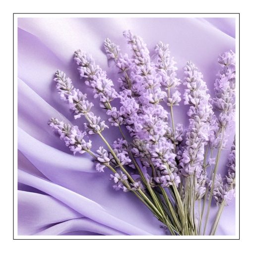 Sheer Lavender - olejek zapachowy