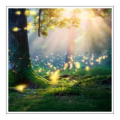 Enchanted Forest - olejek zapachowy