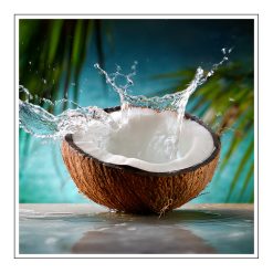 Coconut Sea Moss - olejek zapachowy