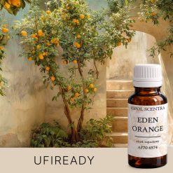 Pomarańczowe drzewa rosnące w dziedzińcu, otoczone zielonymi liśćmi i jasnym niebem.