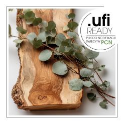 Gałązka eukaliptusa na chropowatej drewnianej płycie, umieszczona na jednolitym tle.