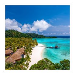 Green Nirvana Diffuser/Candle Mod - olejek zapachowy