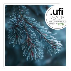 Ośnieżona gałązka świerku w zbliżeniu zimowym.