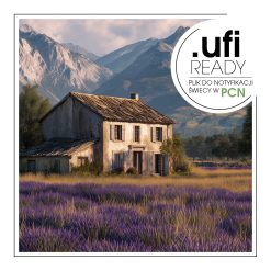 Pola lawendy w Prowansji, Francja, w pełnym rozkwicie, tworzą malowniczy, fioletowy krajobraz.