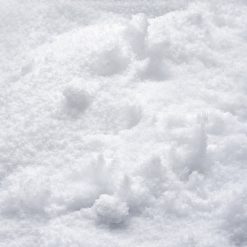 Parafina Polwax LTP 54 56 w granulacie