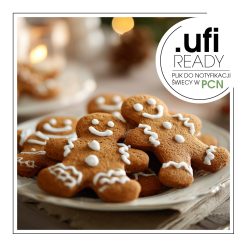 Piernikowy ludzik z lukrem świątecznym na talerzu – AF70 1374