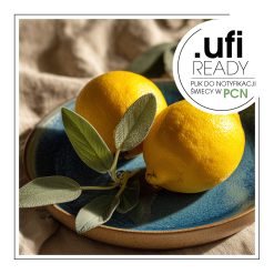 Skórka cytryny na talerzu z liściem obok.