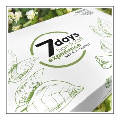 Zestaw DIY do tworzenie świec "My First Soy Candles" - Duży