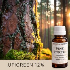 Kora sosny porośnięta mchem w lesie oświetlonym promieniami zachodzącego słońca - AF70 1277