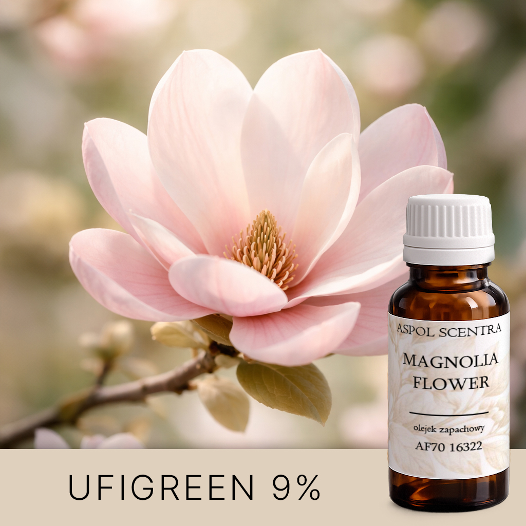 Różowy kwiat magnolii w zbliżeniu