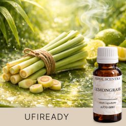 Świeża trawa cytrynowa i limonki w zielonym otoczeniu