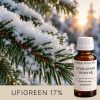 Evergreen Winter - olejek zapachowy